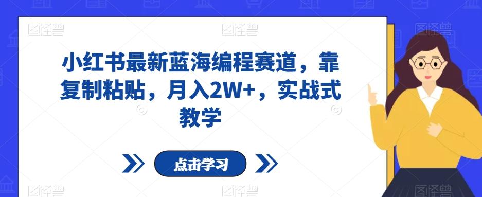 小红书最新蓝海编程赛道，靠复制粘贴，月入2W+，实战式教学【揭秘】-轻创网