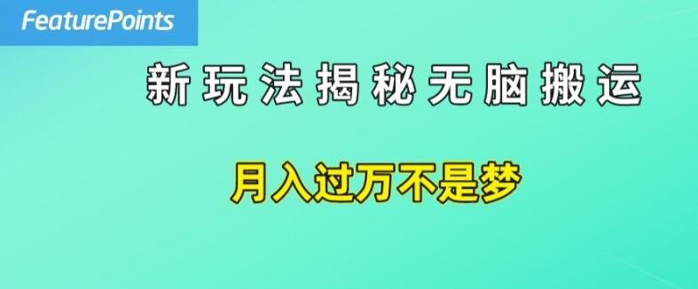 简单操作，每天50美元收入，搬运就是赚钱的秘诀【揭秘】-轻创网