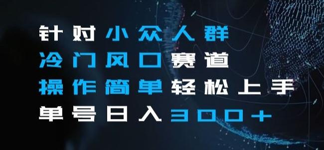 针对小众人群冷门风口赛道，操作简单轻松上手单号日入300+-轻创网
