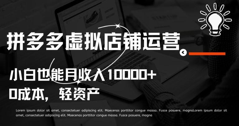拼多多虚拟店铺运营小白也能月收入10000+【揭秘】-轻创网
