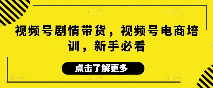 视频号剧情带货，视频号电商培训，新手必看-轻创网