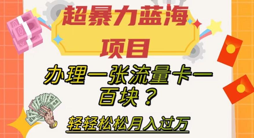 超暴力蓝海项目，办理一张流量卡一百块？轻轻松松月入过万，保姆级教程【揭秘】-轻创网