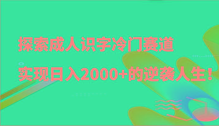 探索成人识字冷门赛道，实现日入2000+的逆袭人生！-轻创网