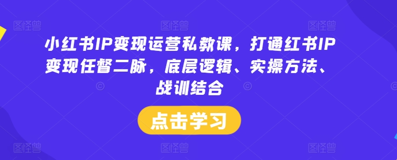 小红书IP变现运营私教课，打通红书IP变现任督二脉，底层逻辑、实操方法、战训结合-轻创网