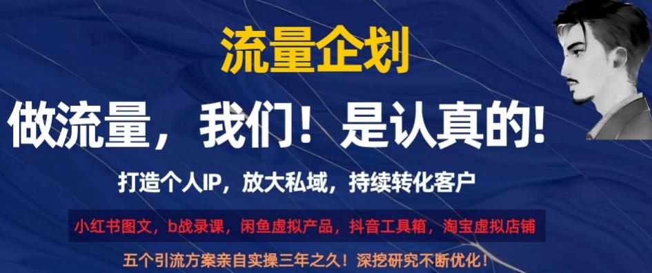 流量企划，打造个人IP，放大私域，持续转化客户【揭秘】-轻创网