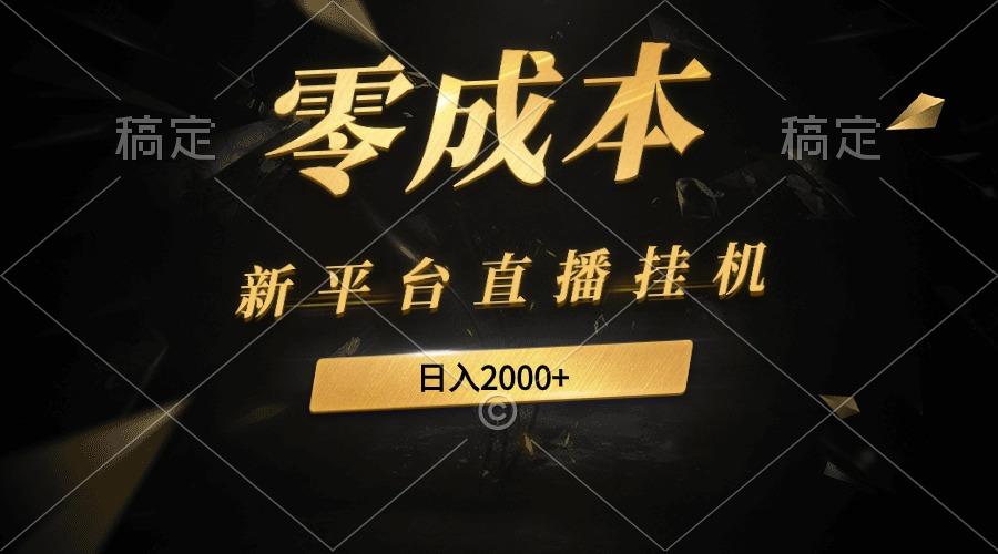 (9841期)新平台直播挂机最新玩法，0成本，不违规，日入2000+-轻创网