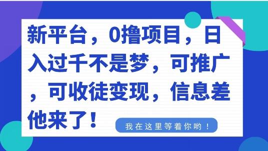 不要再花冤枉钱了，0撸项目，每天坚持，稳定1000+-轻创网
