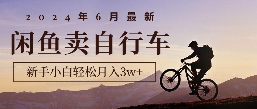 2024年6月最新闲鱼卖自行车，新手小白轻松月入3w+项目-轻创网