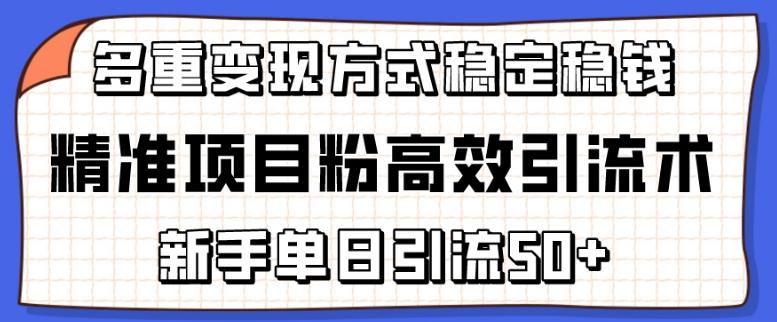 精准项目粉高效引流术，新手单日引流50+，多重变现方式稳定赚钱【揭秘】-轻创网