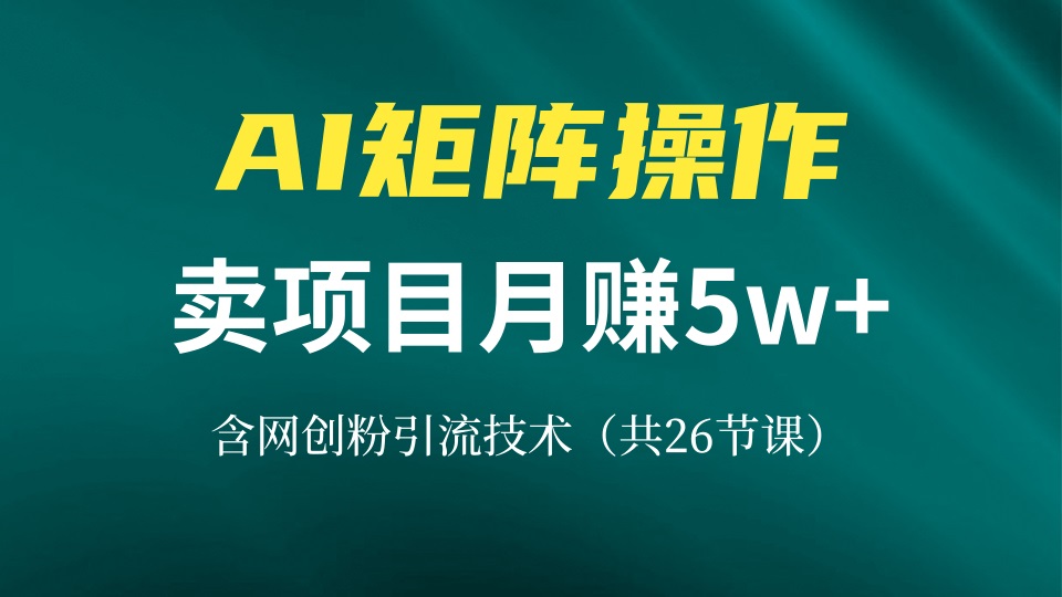 网创IP打造课，借助AI卖项目月赚5万+，含引流技术(共26节课-轻创网