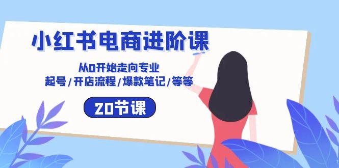 小红书电商进阶课：从0开始走向专业 起号/开店流程/爆款笔记/等等(20节-轻创网