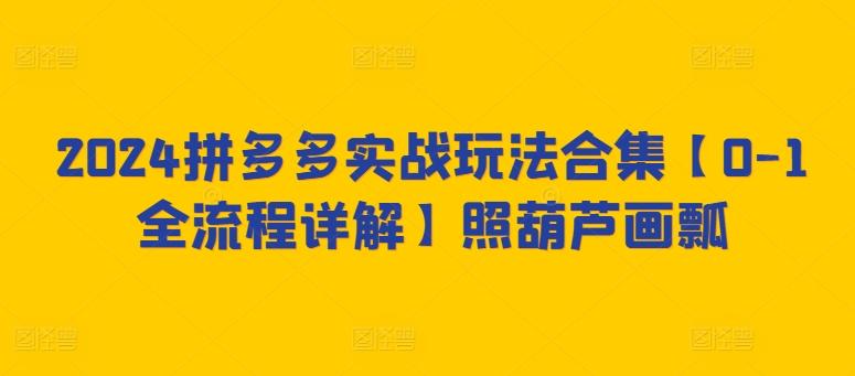 2024拼多多实战玩法合集【0-1全流程详解】照葫芦画瓢-轻创网