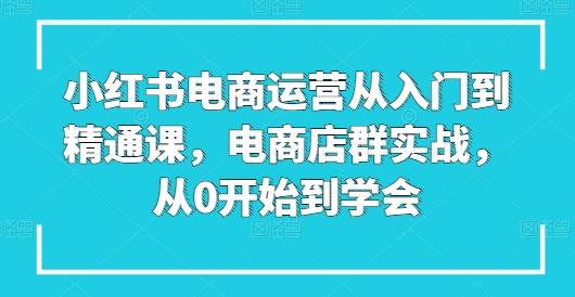 小红书电商运营从入门到精通课，电商店群实战，从0开始到学会-轻创网