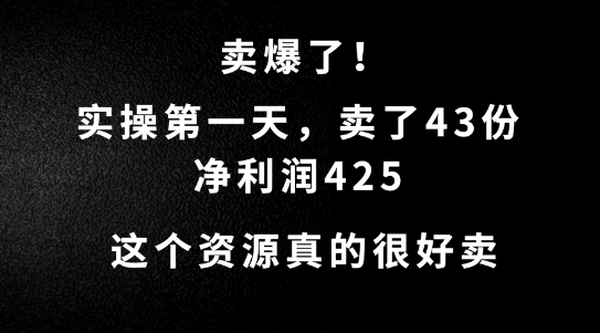 这个资源，需求很大，实操第一天卖了43份，净利润425【揭秘】-轻创网