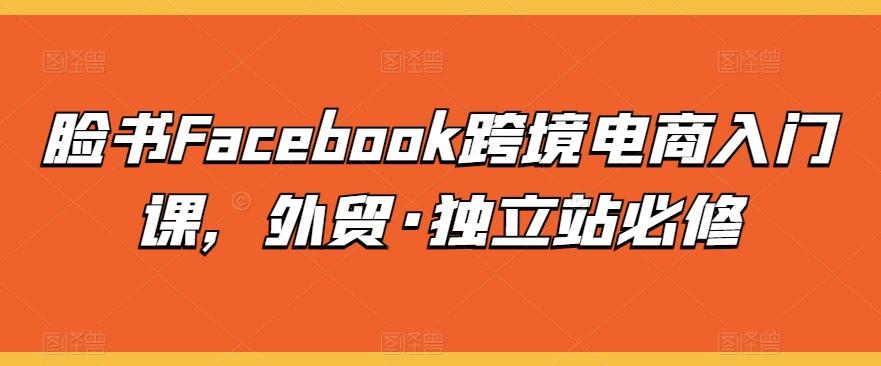 脸书Facebook跨境电商入门课，外贸·独立站必修-轻创网