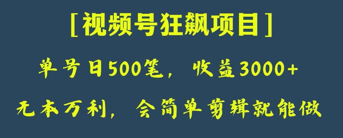 日收款500笔，纯利润3000+，视频号狂飙项目，会简单剪辑就能做【揭秘】-轻创网