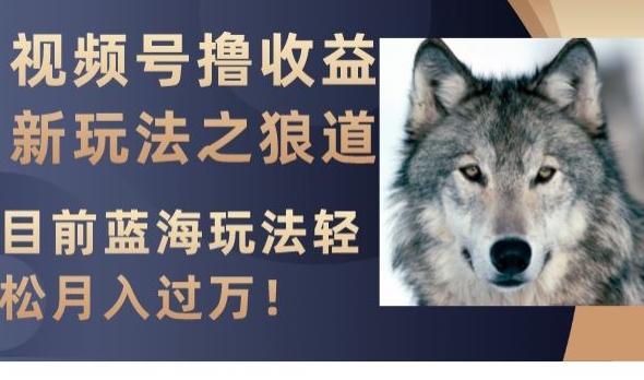 视频号撸收益新玩法之狼道，目前蓝海玩法，轻松月入过万【揭秘】-轻创网