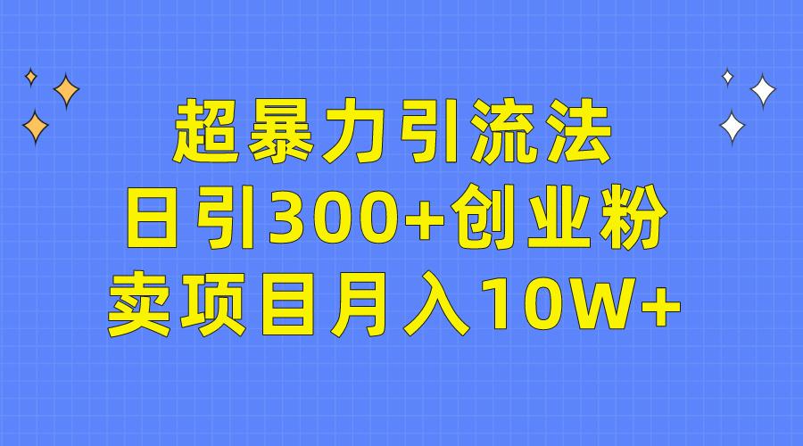 (9954期)超暴力引流法，日引300+创业粉，卖项目月入10W+-轻创网