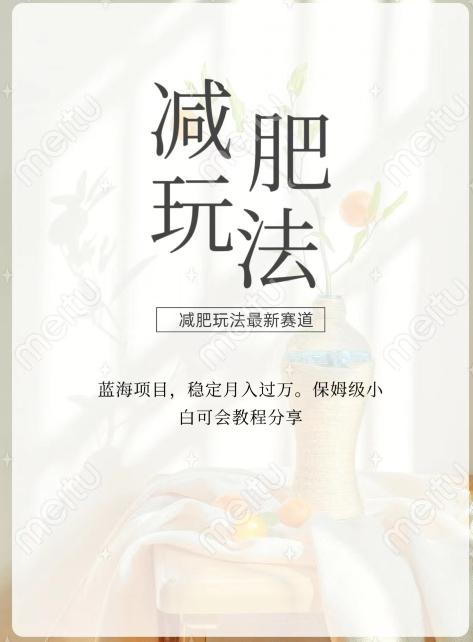 减肥流量主新玩法，轻松月入1W，可矩阵操作收入翻倍-轻创网