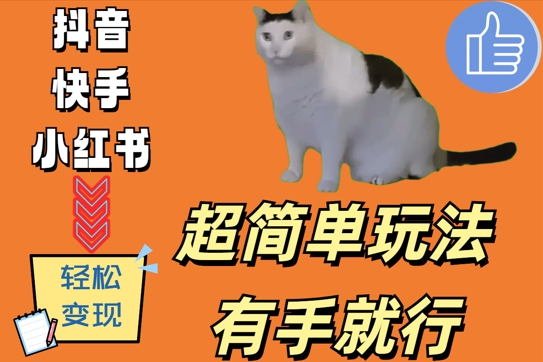 超简单玩法，有手就行，靠猫咪视频日入500+【揭秘】-轻创网
