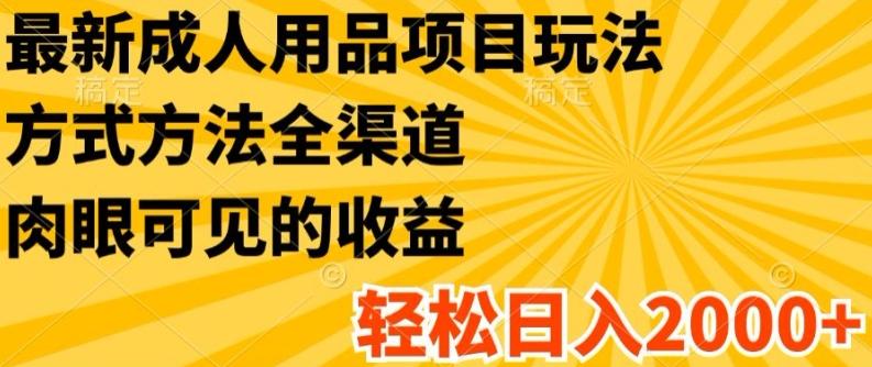 最新成人用品项目玩法，方式方法全渠道，轻松日入2K+【揭秘】-轻创网