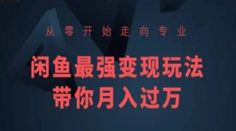 从零开始走向专业，闲鱼最强变现玩法带你月入过万-轻创网