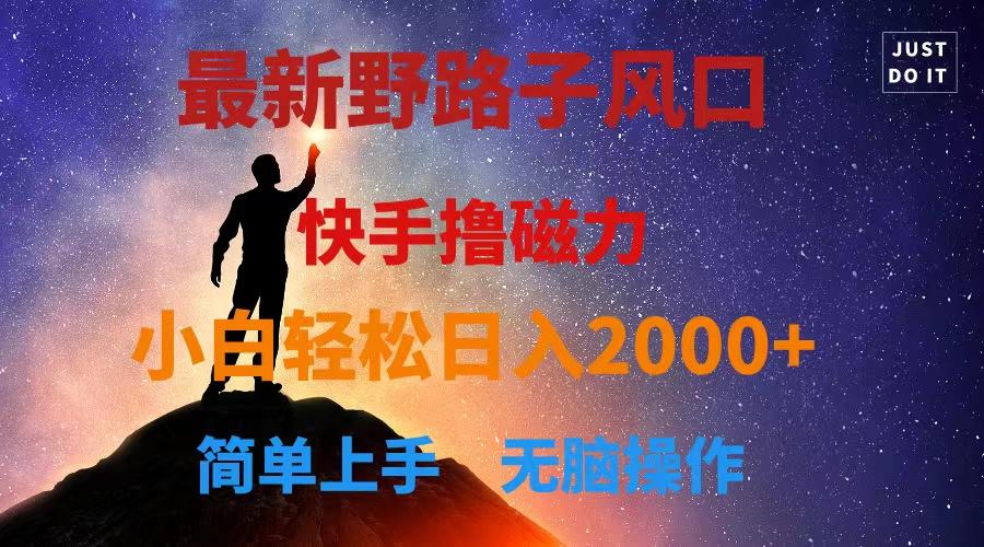 最新风口！快手撸磁力，野路子，小白无脑操作日入2000+-轻创网