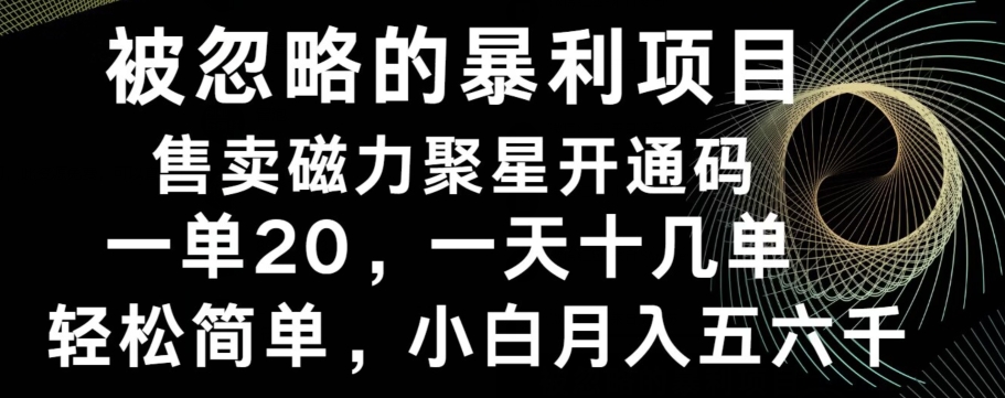 被忽略的暴利项目！售卖磁力聚星开通码，一单20，一天十几单，轻松月入五六千-轻创网