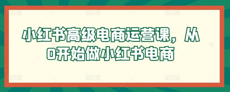 小红书高级电商运营课，从0开始做小红书电商-轻创网