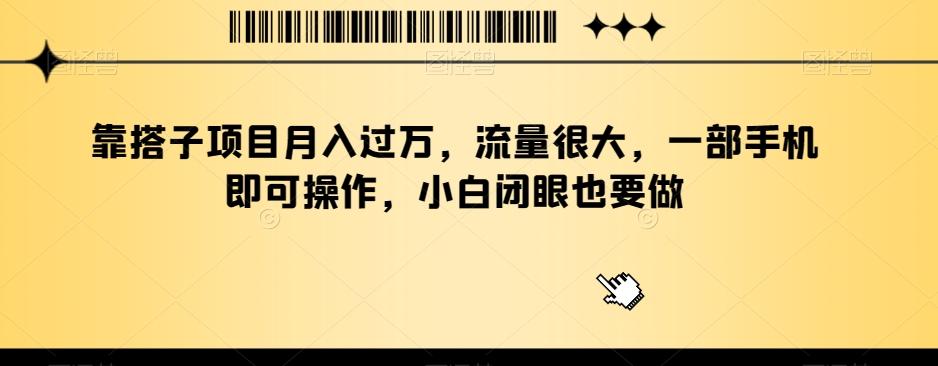 靠搭子项目月入过万，流量很大，一部手机即可操作，小白闭眼也要做-轻创网