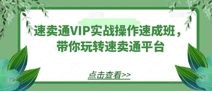 速卖通VIP实战操作速成班，带你玩转速卖通平台-轻创网