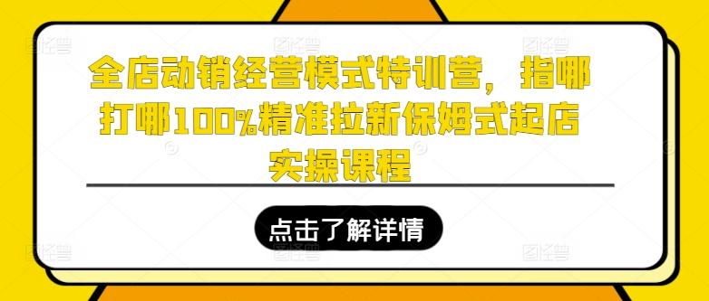 全店动销经营模式特训营，指哪打哪100%精准拉新保姆式起店实操课程-轻创网