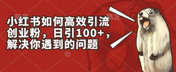 小红书如何高效引流创业粉，日引100+，解决你遇到的问题【揭秘】-轻创网