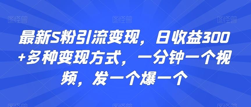 最新S粉引流变现，日收益300+多种变现方式，一分钟一个视频，发一个爆一个【揭秘】-轻创网