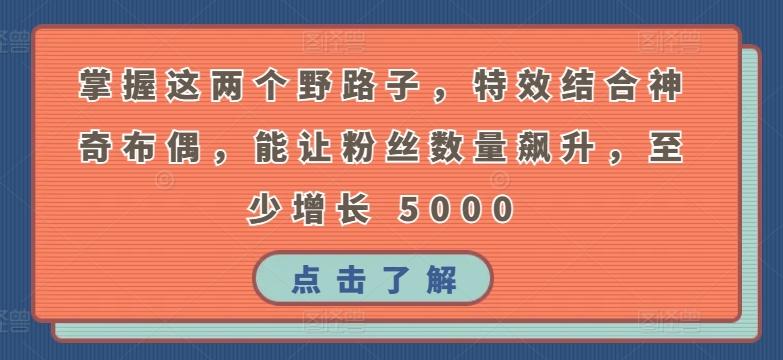 掌握这两个野路子，特效结合神奇布偶，能让粉丝数量飙升，至少增长 5000【揭秘】-轻创网