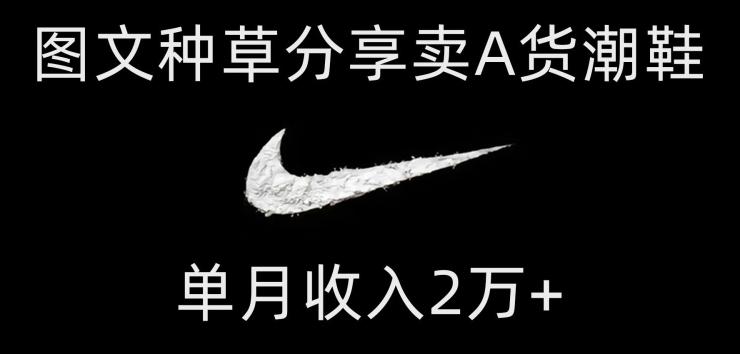 靠图文种草分享卖A货潮鞋，每天一小时，单月收入2万+【揭秘】-轻创网