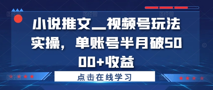 小说推文—视频号玩法实操，单账号半月破5000+收益-轻创网