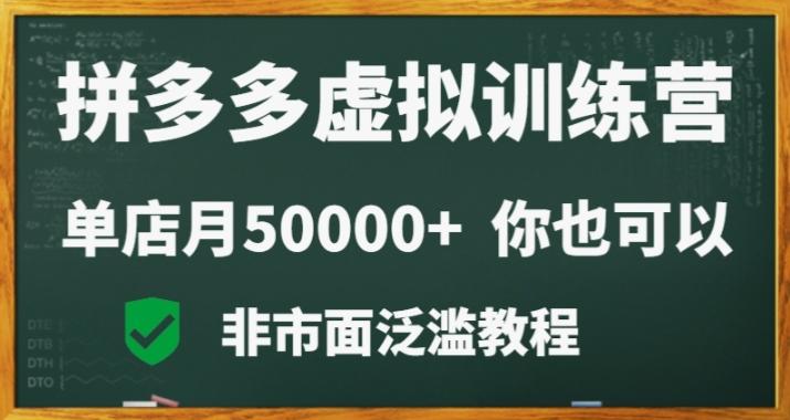 拼多多虚拟电商训练营月入30000+你也行，暴利稳定长久，副业首选-轻创网