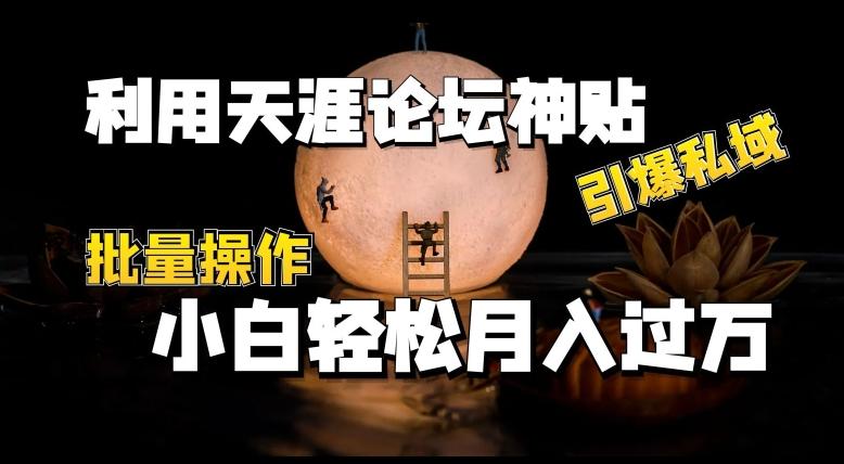 利用天涯论坛神贴，引爆私域，批量操作，小白轻松月入过w【揭秘】-轻创网