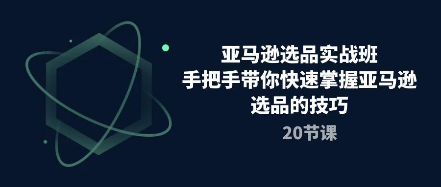 亚马逊选品实战班，手把手带你快速掌握亚马逊选品的技巧(20节课-轻创网