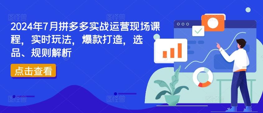 2024年7月拼多多实战运营现场课程，实时玩法，爆款打造，选品、规则解析-轻创网