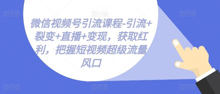 微信视频号引流课程-引流+裂变+直播+变现，获取红利，把握短视频超级流量风口-轻创网