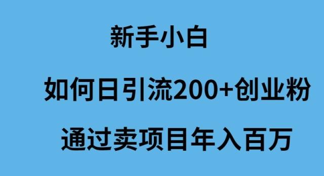 (9668期)新手小白如何日引流200+创业粉通过卖项目年入百万-轻创网