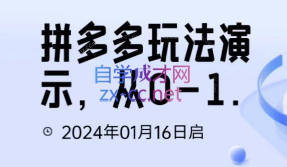 吴老师·拼多多从选品到截流到付费的玩法技巧-轻创网