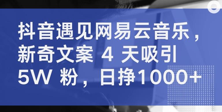 抖音遇见网易云音乐，新奇文案 4 天吸引 5W 粉，日挣1000+【揭秘】-轻创网