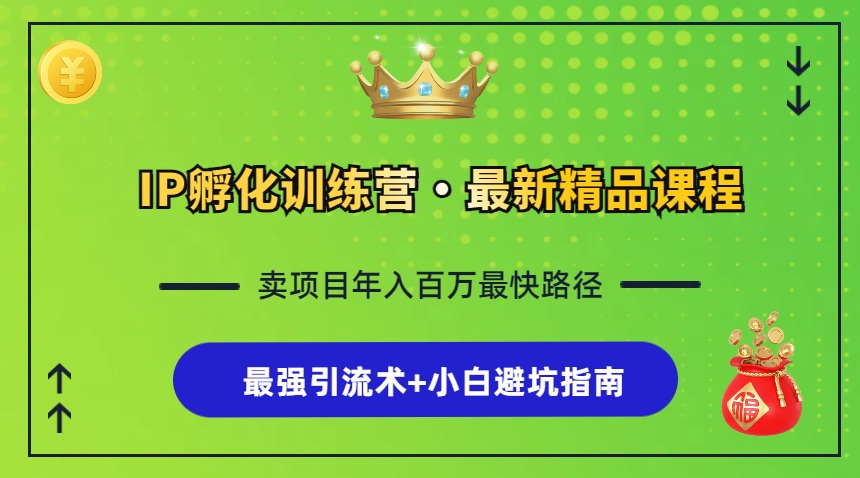 IP孵化训练营，知识付费全流程+最强引流术+小白避坑指南-轻创网