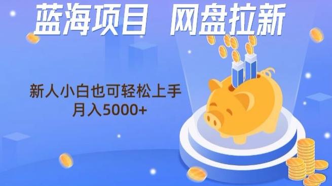 蓝海项目网盘拉新，新人小白也可操作，每月收入5000+-轻创网