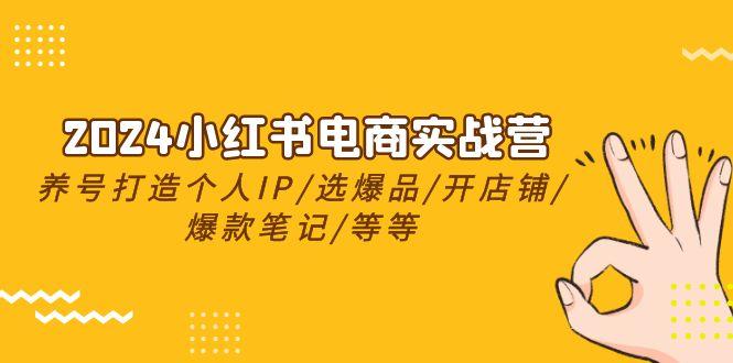 2024小红书电商实战营，养号打造IP/选爆品/开店铺/爆款笔记/等等(24节)-轻创网