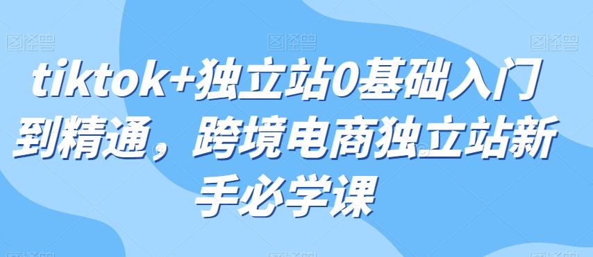 tiktok+独立站0基础入门到精通，跨境电商独立站新手必学课-轻创网