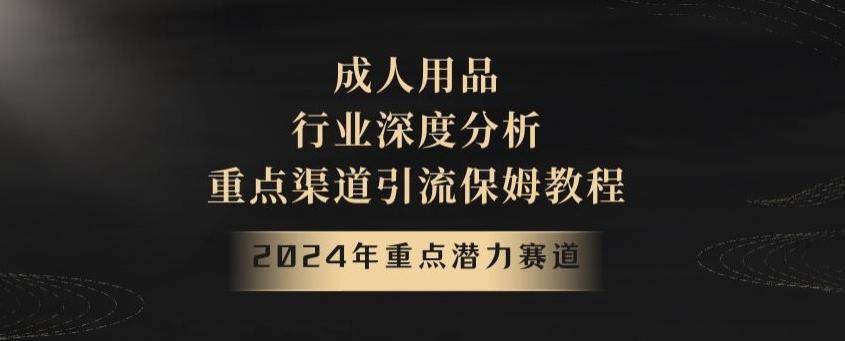 2024年重点潜力赛道，成人用品行业深度分析，重点渠道引流保姆教程【揭秘】-轻创网